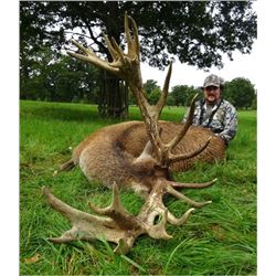 Seven Day Scotland Red Stag Hunt and Tour for One Hunter