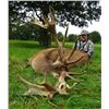 Image 1 : Seven Day Scotland Red Stag Hunt and Tour for One Hunter