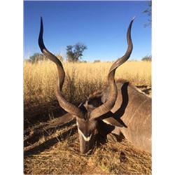 Seven Day South African Plains Game Hunt for Two or Three Hunters