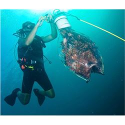 Belize Island Fishing & Diving for Two Persons