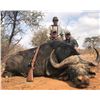 Image 1 : Seven Day South Africa Cape Buffalo Hunt for One Hunter and Three Non-hunters