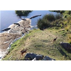 Ten-day South African Crocodile Hunt  for One Hunter