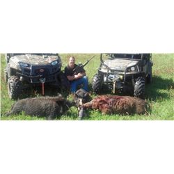 One Night Alabama Hog Hunt for Three Hunters