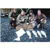 Image 5 : Kodiak Blacktail Deer, Waterfowl & Fishing - $4,500