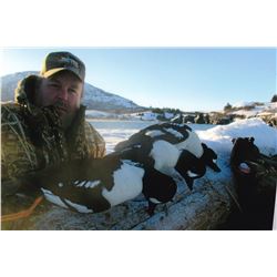Kodiak Blacktail Deer, Waterfowl & Fishing - $4,500