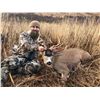 Image 5 : Kodiak Blacktail Deer, Waterfowl & Fishing - $4,500