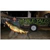 Image 4 : Bowfishing for up to 5 People - Pricele$$ / Exhibitor