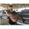 Image 1 : Bowfishing for up to 5 People - Pricele$$ / Exhibitor