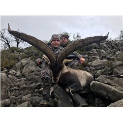 Trophy Beceite Ibex for 1 Hunter & 1 Observer in Spain - $8,000