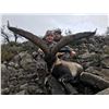 Image 1 : Trophy Beceite Ibex for 1 Hunter & 1 Observer in Spain - $8,000