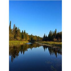 Northern Fishing Experience for 1 Angler - $1,500