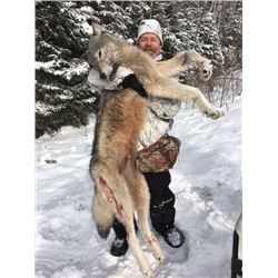 Chase the "Grey Ghost of the North" - $2,500