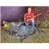 Image 4 : Florida Wild Boar Hunt for 4 Hunters - $6,000