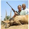 Image 2 : Zambia Plains Game Safari for 1 Hunter & 1 Observer - $20,350