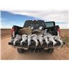 Image 1 : West Texas Sandhill Crane Hunt for 2 Hunters - $3,450