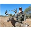 Image 1 : Sonora Coues Deer Hunt for 1 Hunter - $5,000 / Exhibitor