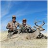 Image 2 : Sonora Coues Deer Hunt for 1 Hunter - $5,000 / Exhibitor