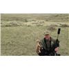 Image 1 : Wyoming Prairie Dog Hunt for 2 Hunters - $1,020 / Exhibitor