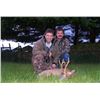 Image 4 : Scotland Roebuck Hunt on Prestigious and Exclusive Estates for Two Bucks with Airfare - Over