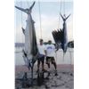 Image 2 : Zihuatanejo Deep Sea Fishing for 1+ - $4,350