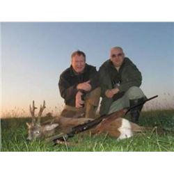 Serbia Roe Deer for 2 - $6,600