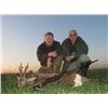 Image 1 : Serbia Roe Deer for 2 - $6,600