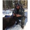 Image 3 : Alaska Grizzly Bear for 2 Hunters - $30,000 / Exhibitor