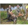 Image 1 : Alaska Moose for 2 Hunters - $33,000 / Exhibitor