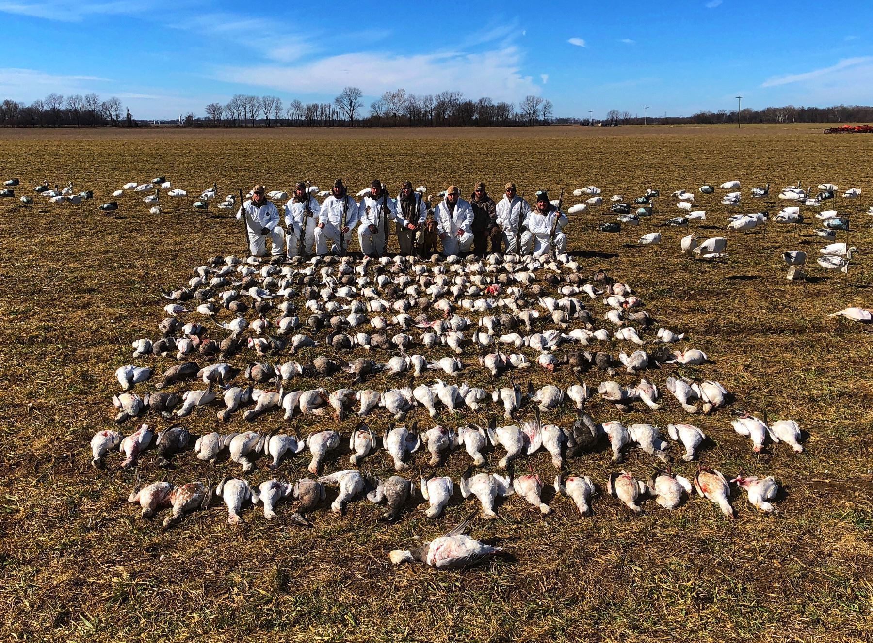 Arkansas/South Dakota Snow Goose Hunt for 4 Hunters 2,400