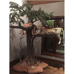 Taxidermy Credit - $3,000 / Exhibitor