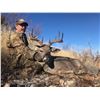 Image 3 : Arizona Coues Deer for 1 Hunter - $2,000