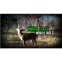 Minnesota Estate Trophy Whitetail - $11,900 / Exhibitor