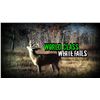 Image 1 : Minnesota Estate Trophy Whitetail - $11,900 / Exhibitor
