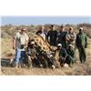 Image 1 : 2x1 Rifle Hunt for 2 African Bull Giraffes for 2 Hunters - $7,000 / Exhibitor