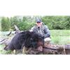 Image 1 : Sitka Black Bear Hunt for 1 - $7,500
