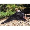 Image 2 : Sitka Black Bear Hunt for 1 - $7,500