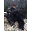 Image 4 : Sitka Black Bear Hunt for 1 - $7,500