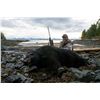 Image 7 : Sitka Black Bear Hunt for 1 - $7,500
