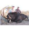 Image 1 : South Africa Sable Safari for 2 Hunters - $11,000 / Exhibitor