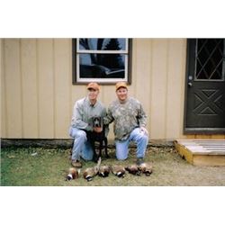 Wisconsin Guided Pheasant for 3 - $400