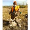 Image 2 : Manitoba Central Barrenground Caribou for 1 - $7,295 / Exhibitor