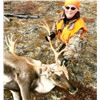 Image 3 : Manitoba Central Barrenground Caribou for 1 - $7,295 / Exhibitor