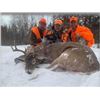 Image 2 : Northern Wisconsin Whitetail Rifle Hunt - $3,500 / Exhibitor