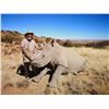 Image 1 : South Africa Rhino Darting Safari - $12,500