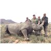 Image 3 : South Africa Rhino Darting Safari - $12,500