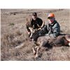 Image 12 : Nebraska Mule Deer Hunt Black Powder or Archery - $4,195 / Exhibitor