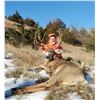 Image 3 : Nebraska Mule Deer Hunt Black Powder or Archery - $4,195 / Exhibitor