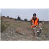 Image 4 : Nebraska Mule Deer Hunt Black Powder or Archery - $4,195 / Exhibitor