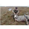 Image 9 : Nebraska Mule Deer Hunt Black Powder or Archery - $4,195 / Exhibitor