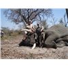 Image 1 : Zimbabwe Non-Trophy Elephant Bull Cull Safari - $15,000 / Exhibitor
